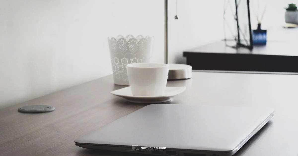 Online Software Engineer Program Online Software Engineer Program - SoftLinked