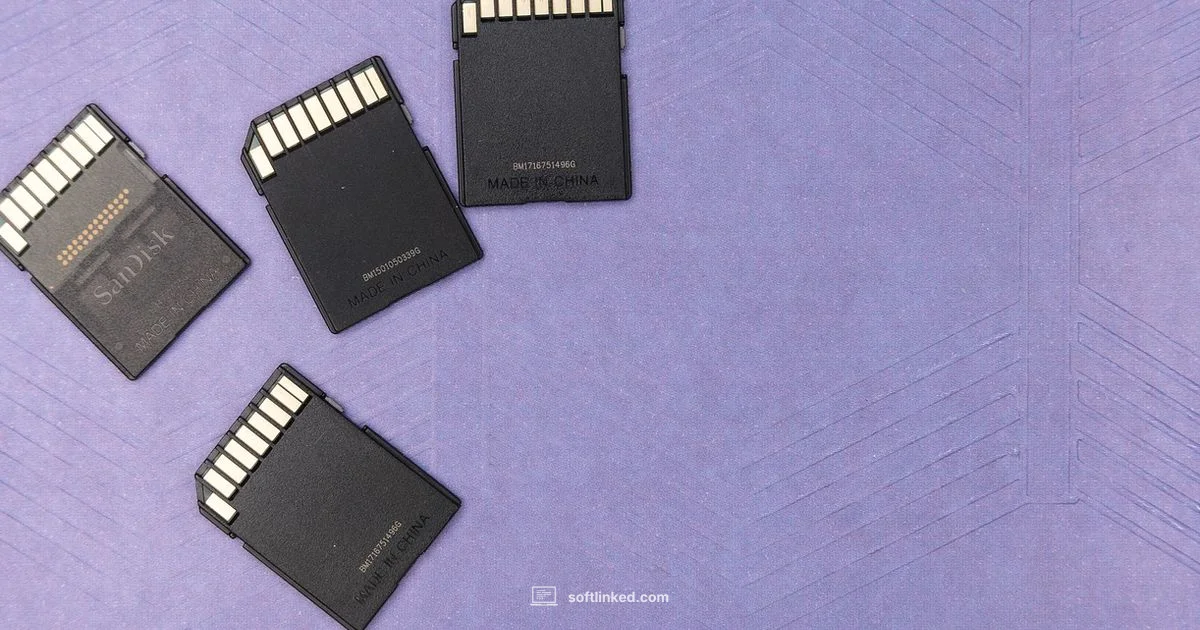 SD Card Recovery - SoftLinked