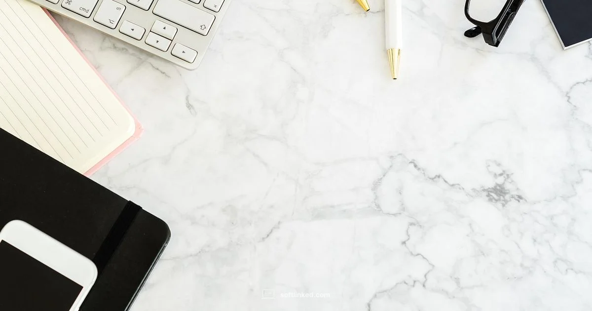 Dictation in Action - SoftLinked