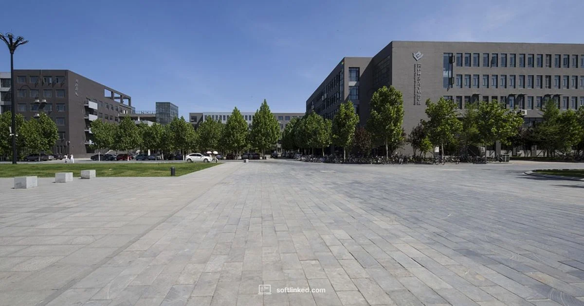 Google SWE Headcount - SoftLinked