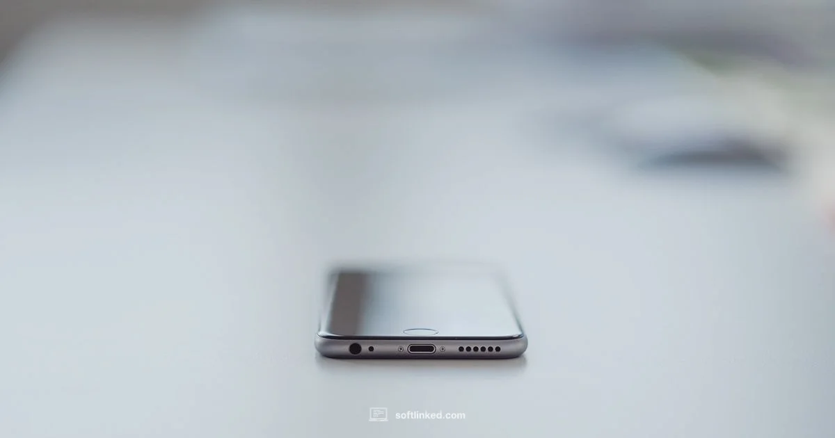 iPhone Software Recovery iPhone Software Recovery - SoftLinked