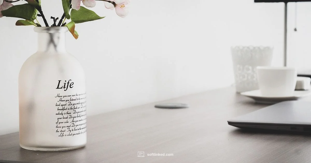 Vector Design Tools - SoftLinked