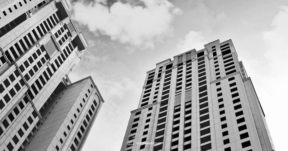 Best Indian Software Firms - SoftLinked