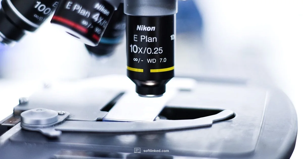 Quality Control in Action - SoftLinked