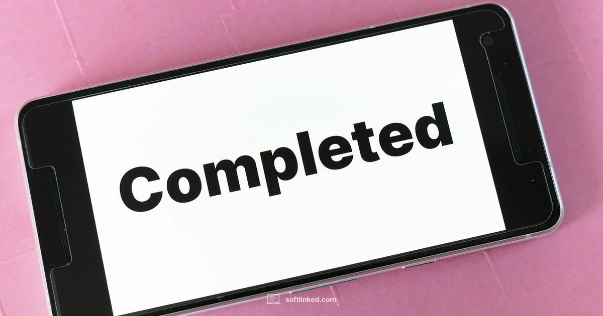 Leading Software Projects - SoftLinked