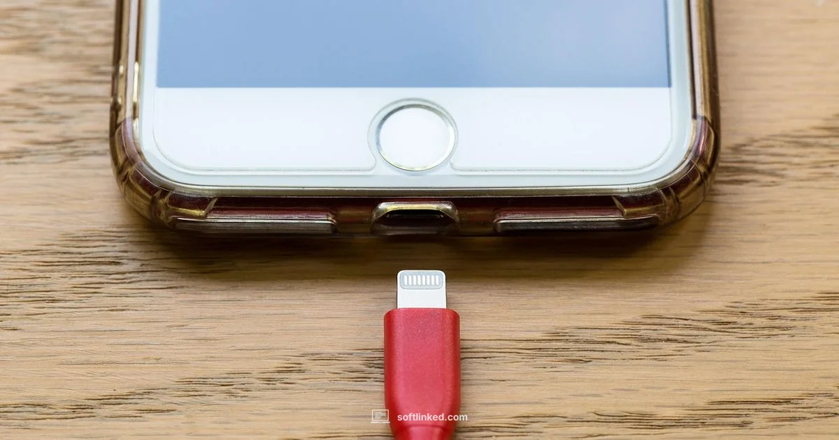 iPhone Update Fix - SoftLinked