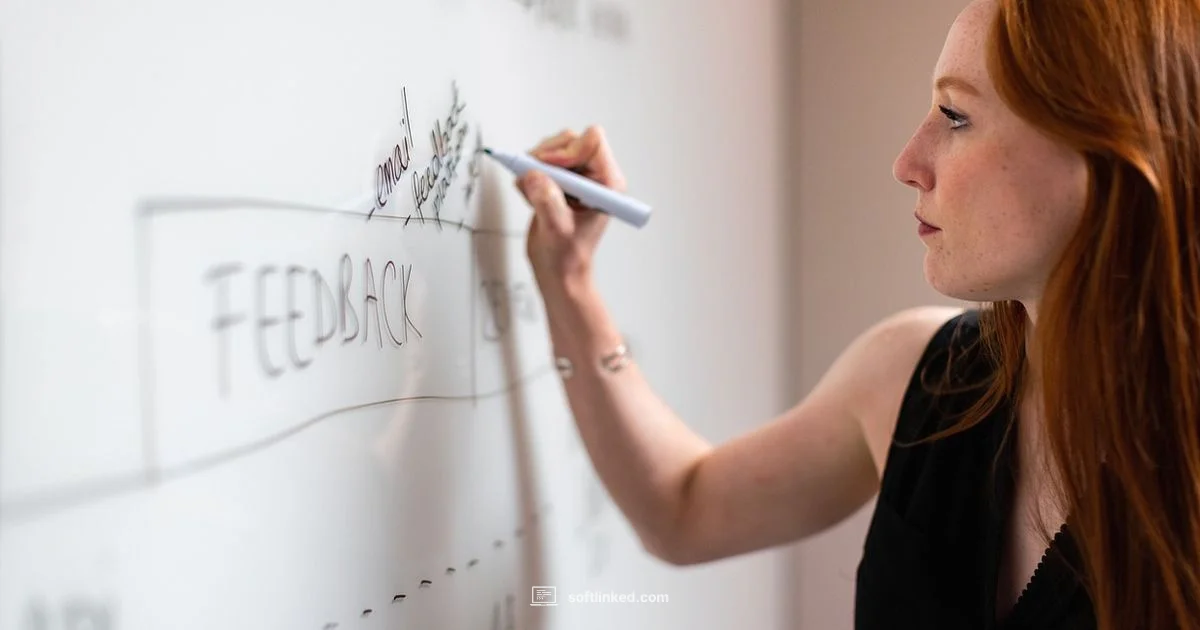 Path to Engineer - SoftLinked