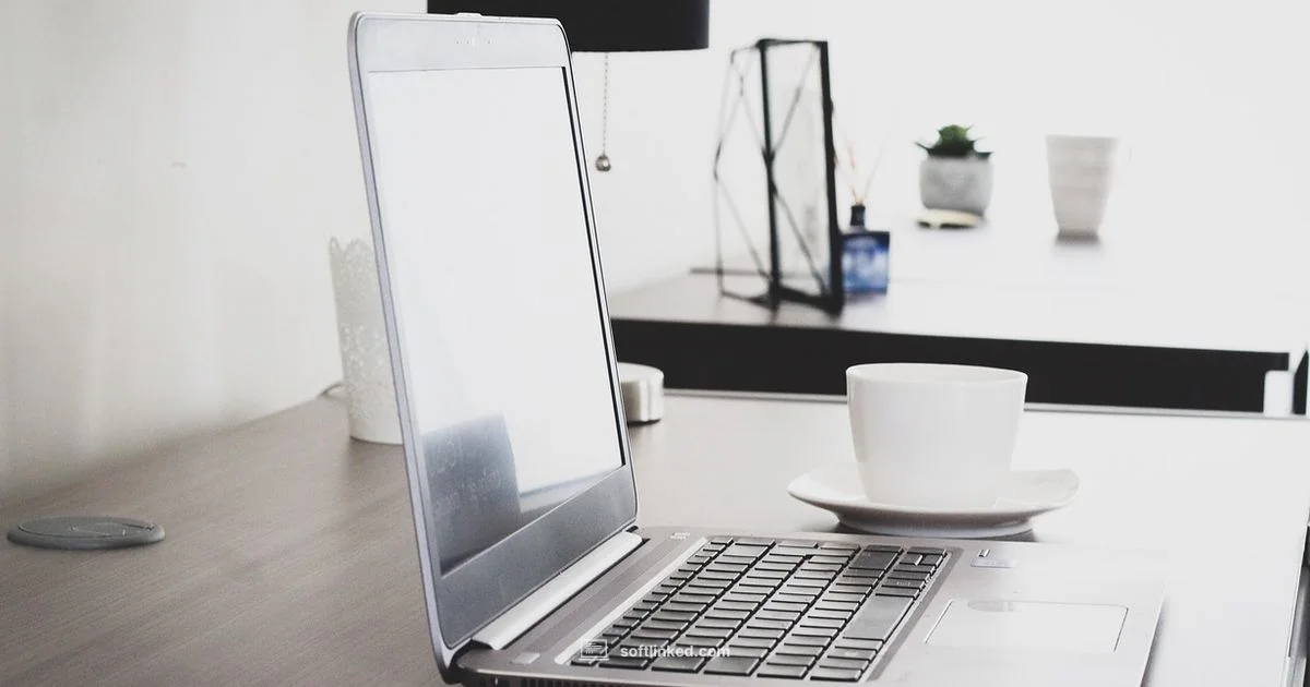 Thriving in Software - SoftLinked