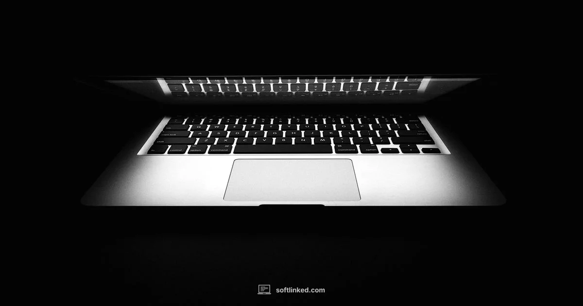 Build Website Software - SoftLinked