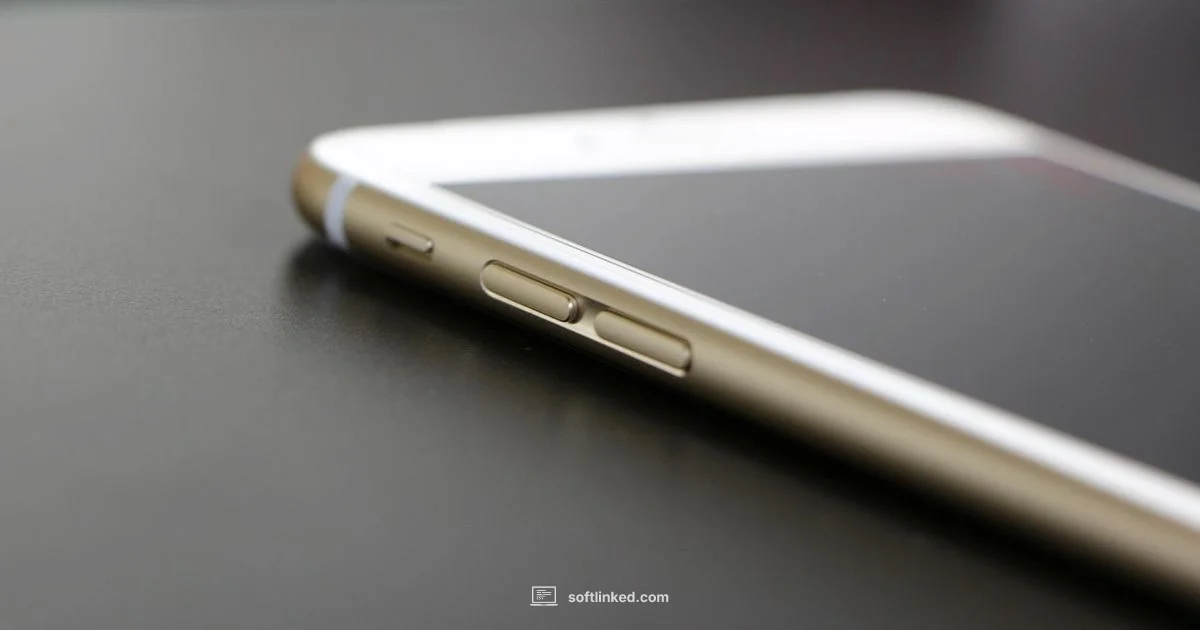 iPhone Update Guide - SoftLinked