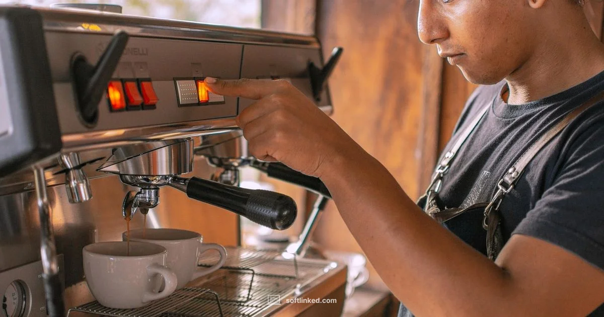 Software Engineer Social Scene - SoftLinked