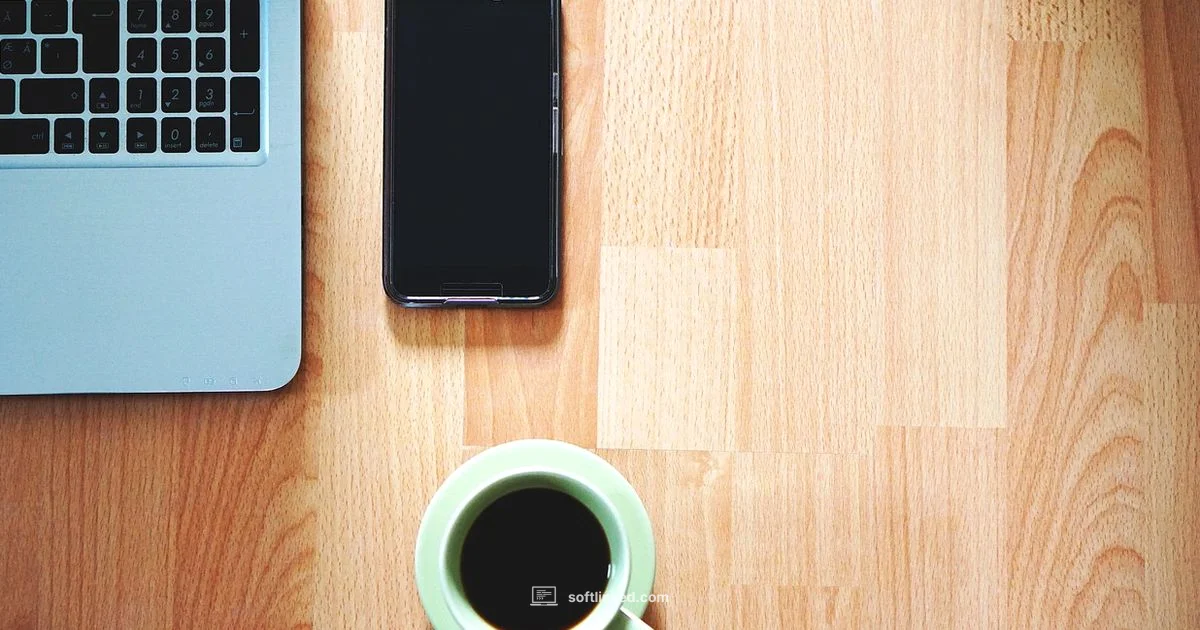 Remote Software Engineering - SoftLinked