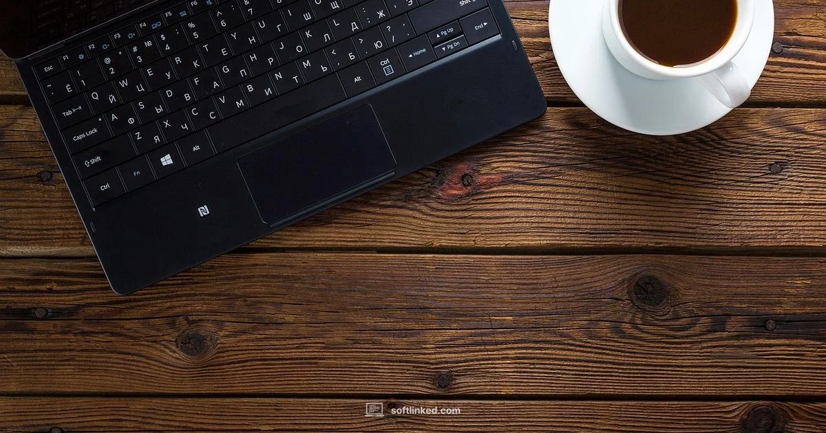 SaaS Demystified - SoftLinked