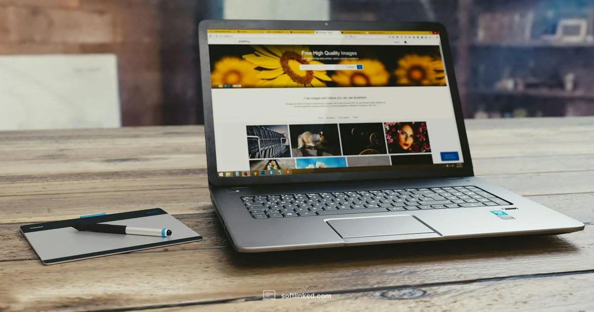 Publisher Quick Guide - SoftLinked