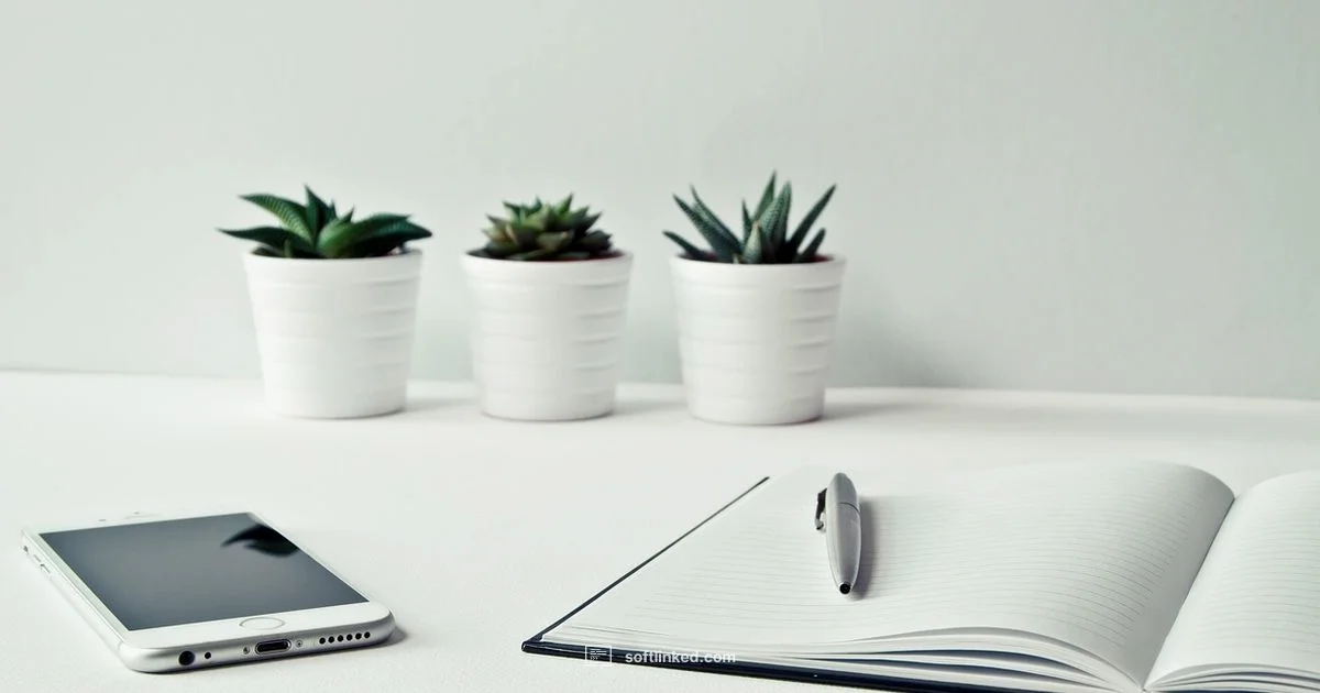 Switch Angel Stack - SoftLinked