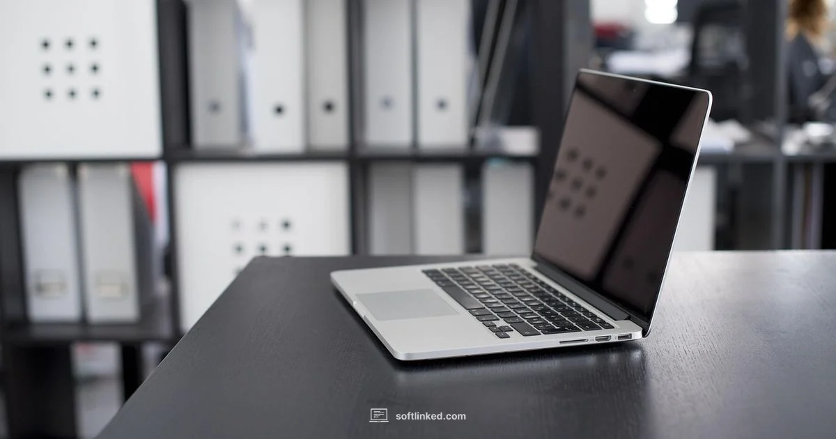 Secure Passwords, Simplified - SoftLinked