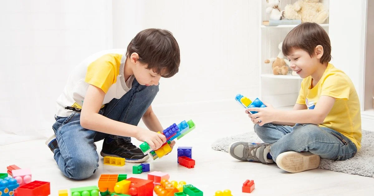 Lego Design Insight - SoftLinked