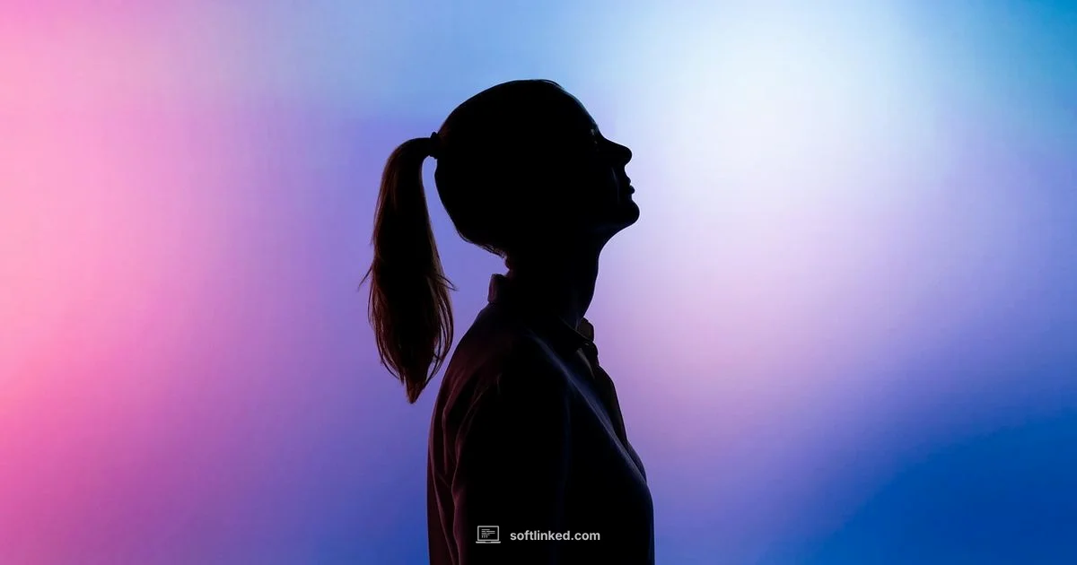 EE to Software - SoftLinked