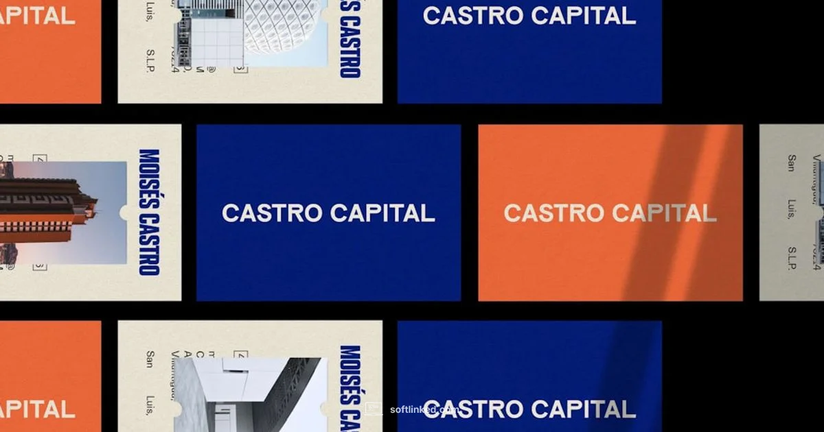 Software Capitalization - SoftLinked