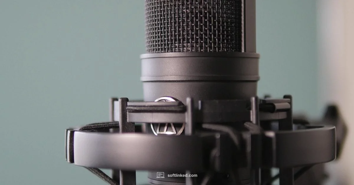 Open Source Recording - SoftLinked