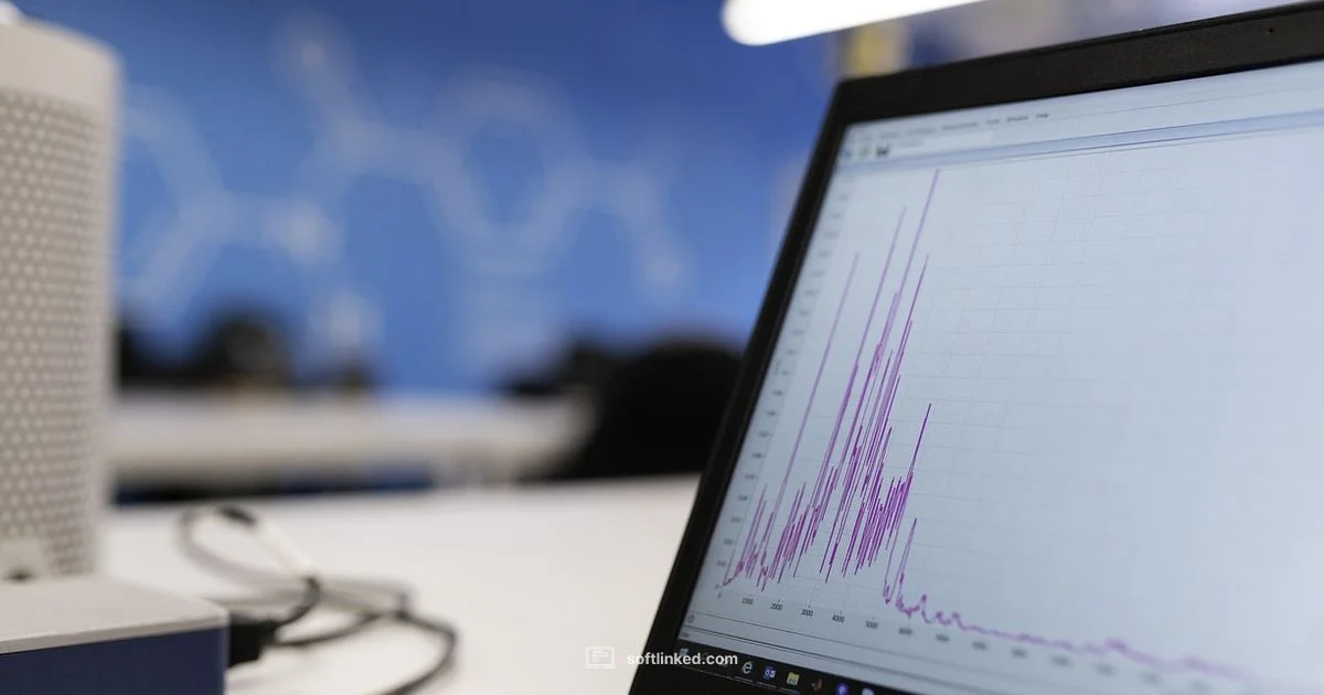 Software vs Computer Eng - SoftLinked