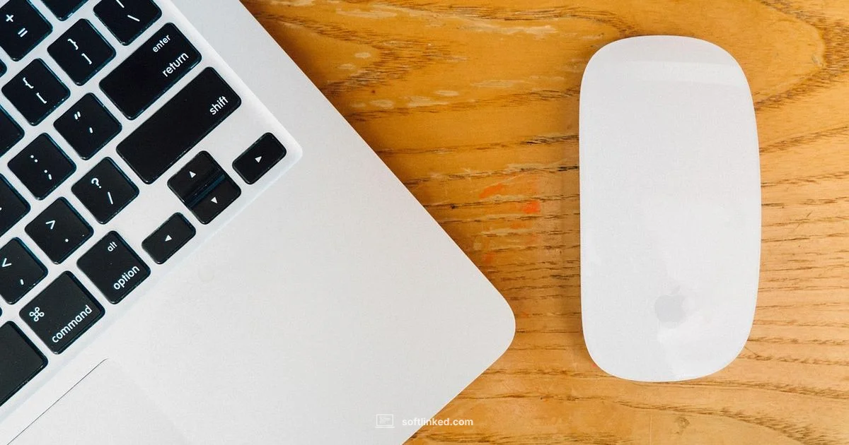 Mac Update Readiness - SoftLinked