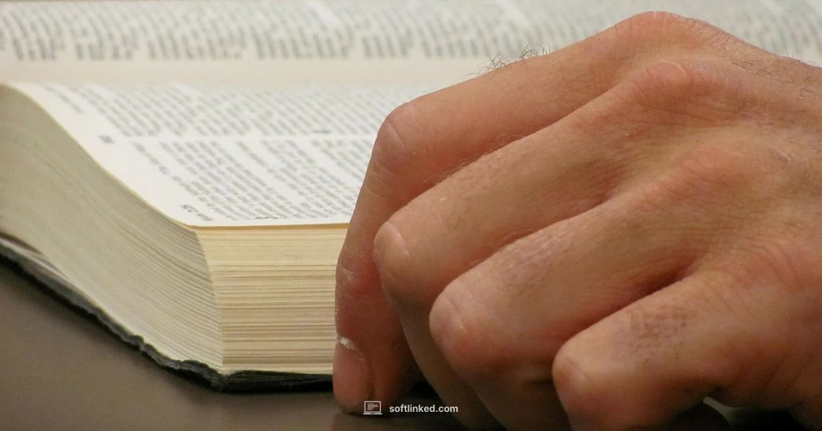 Olive Tree Bible Overview - SoftLinked