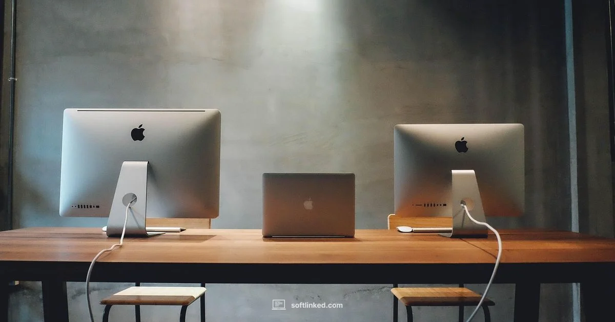 Software vs App - SoftLinked