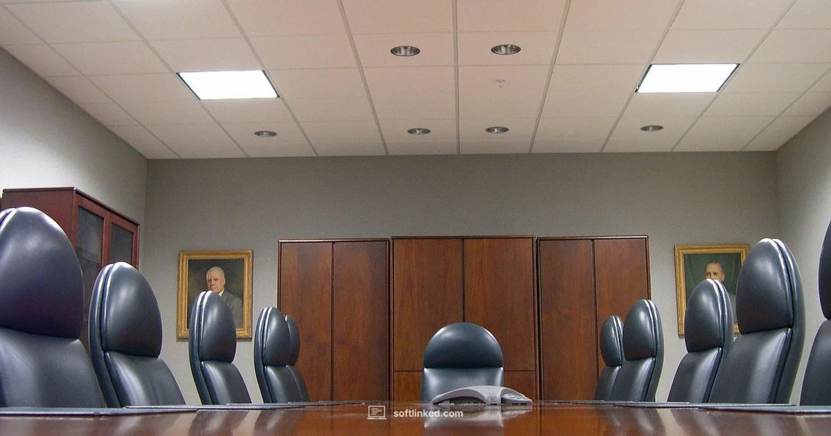 Constellation Software Overview - SoftLinked