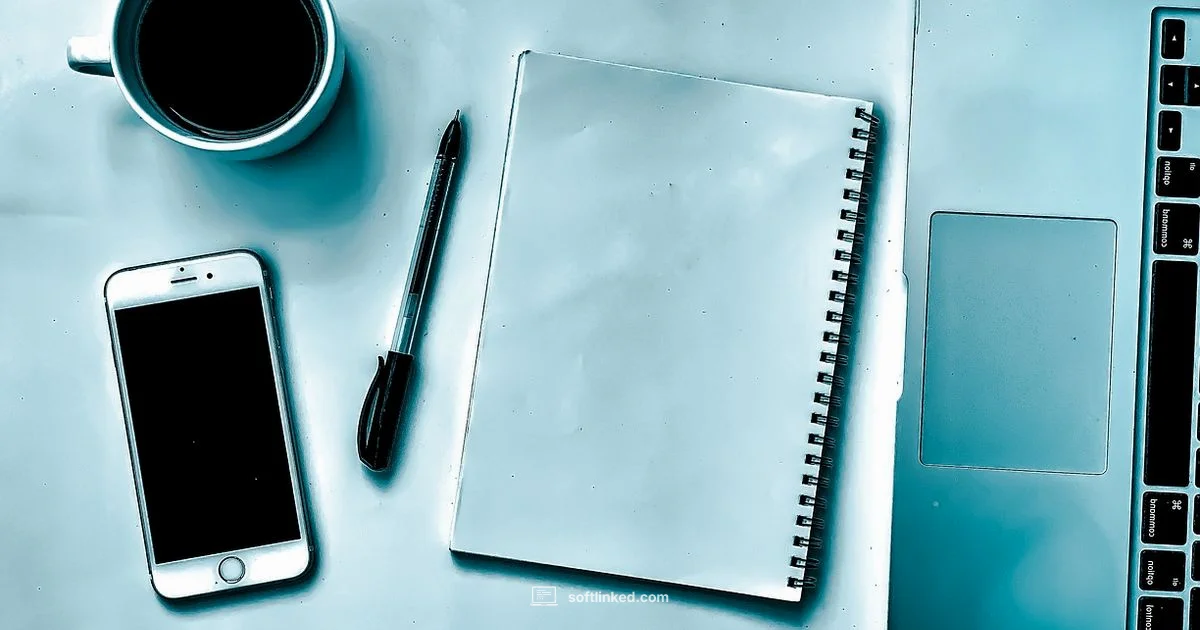 1099 for Subscriptions - SoftLinked