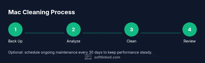 Mac Cleaning Process infographic showing steps 1-4
