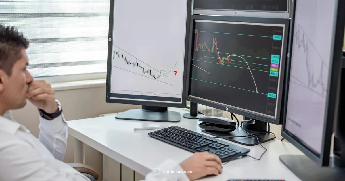 CAN Analysis Essentials CAN Analysis Essentials - SoftLinked