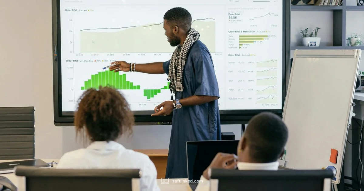 BI Software Overview BI Software Overview - SoftLinked