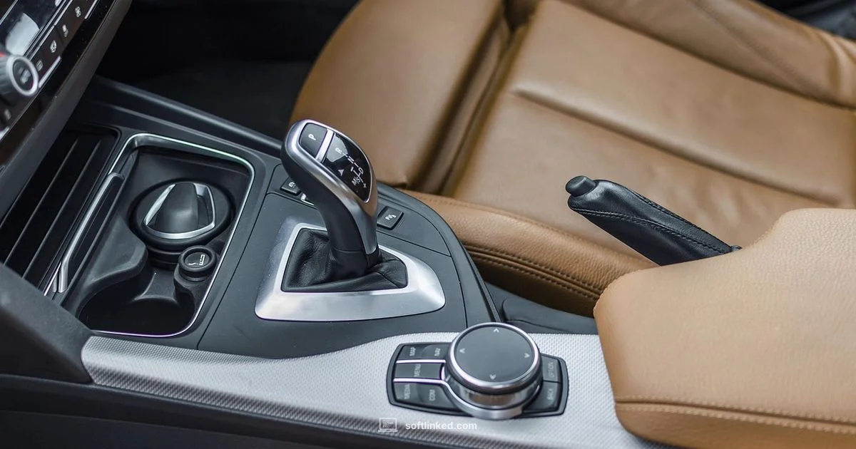 TCM Guide - SoftLinked