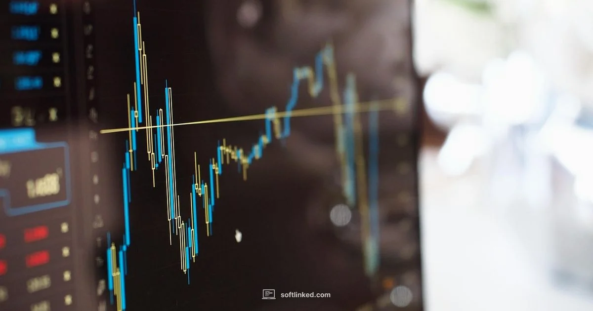 Get Hired in Tech - SoftLinked