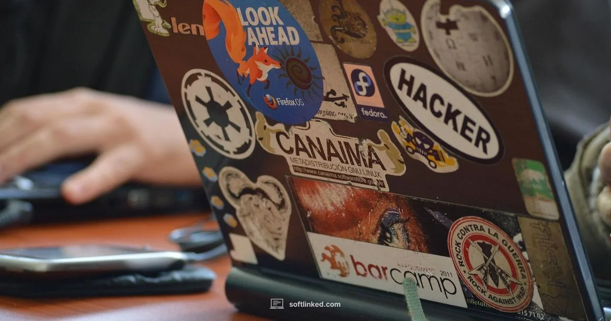 Open Mindset - SoftLinked