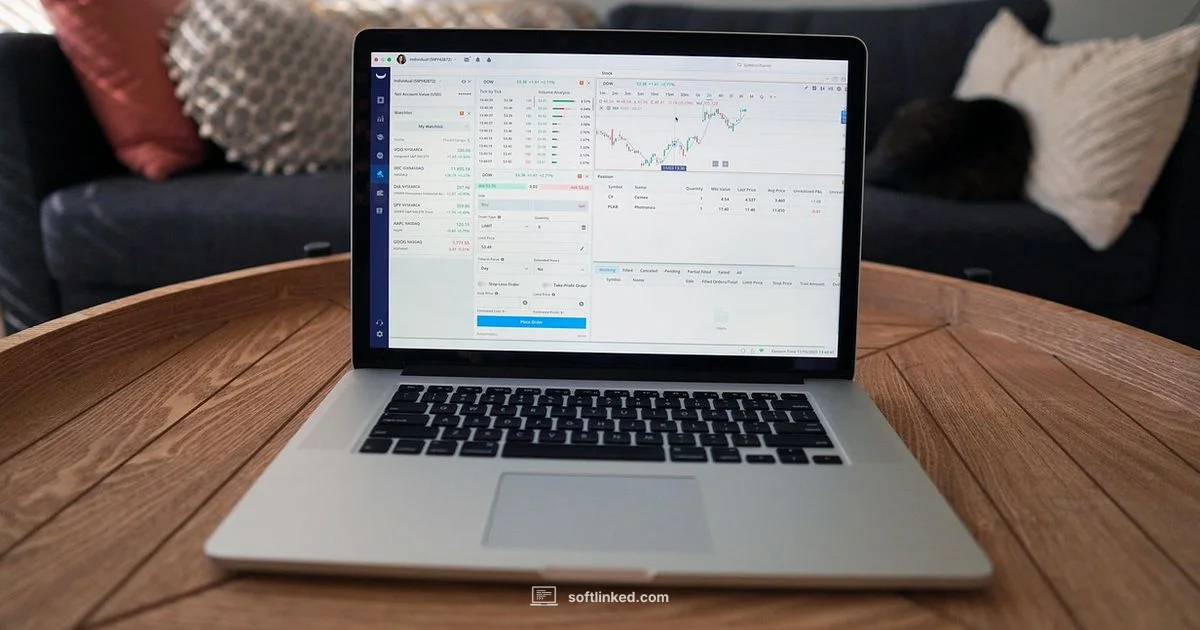 Software Stocks Dip - SoftLinked