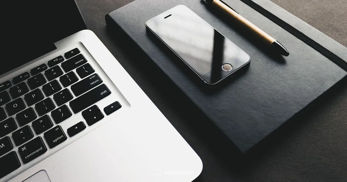 Copyright Timeline - SoftLinked