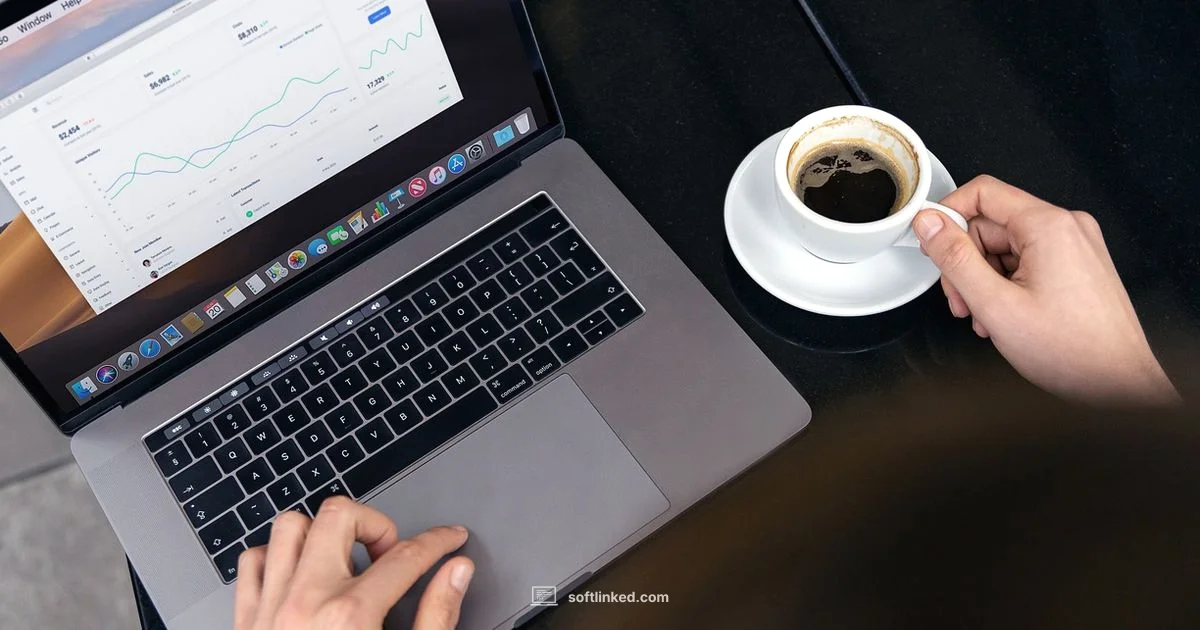 Free Invoice Generator - SoftLinked