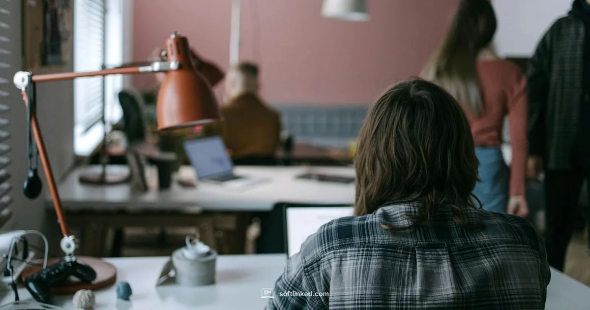 California Software Careers - SoftLinked