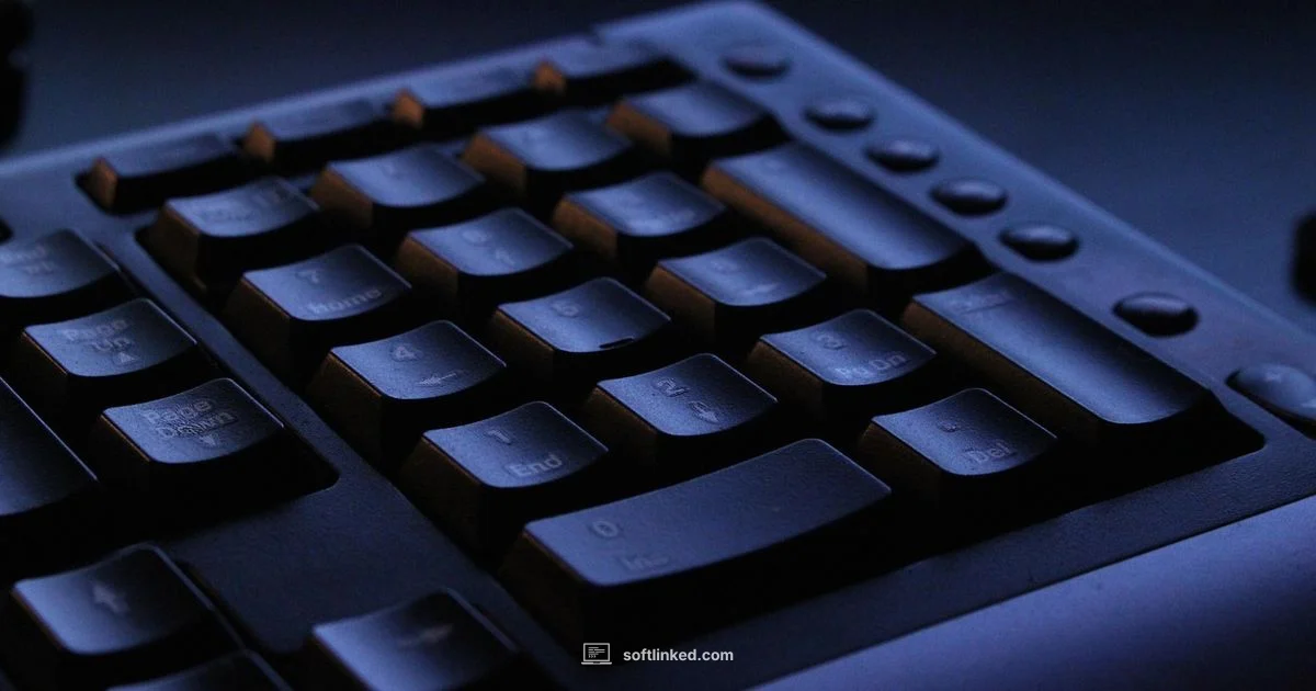 Music Software Basics - SoftLinked