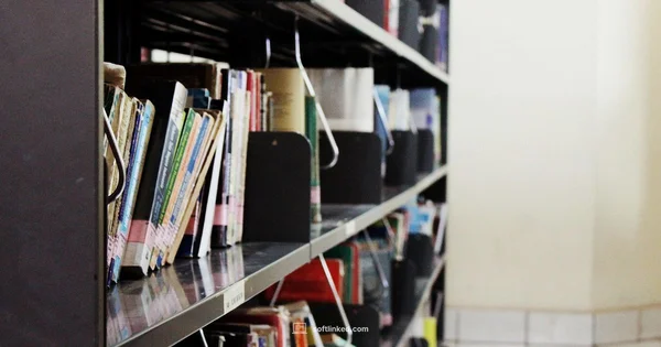 Engineering Education Paths - SoftLinked