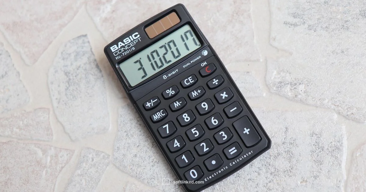 Bonus Depreciation - SoftLinked