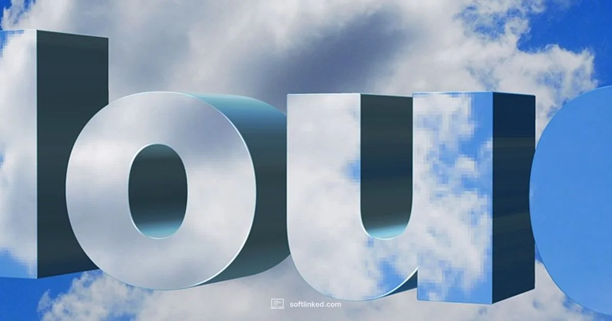 SaaS in Action - SoftLinked