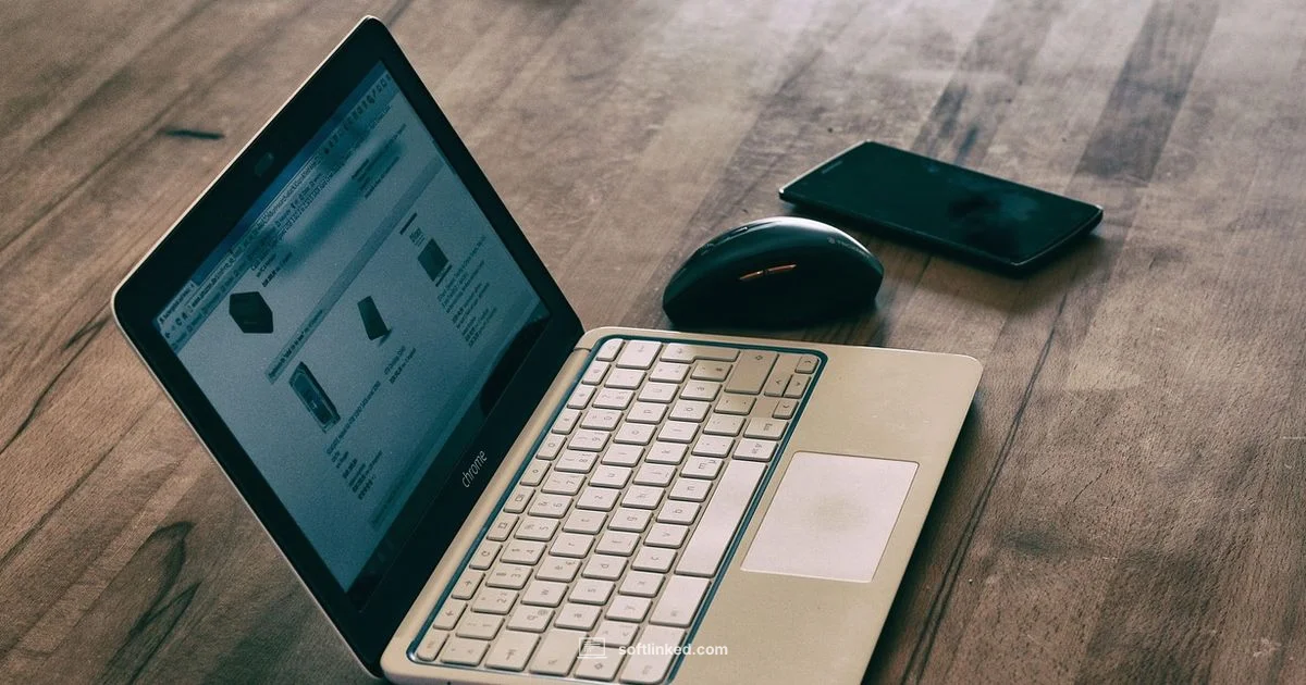 Chrome on PC - SoftLinked