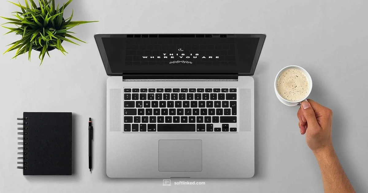 Final Draft Essentials - SoftLinked