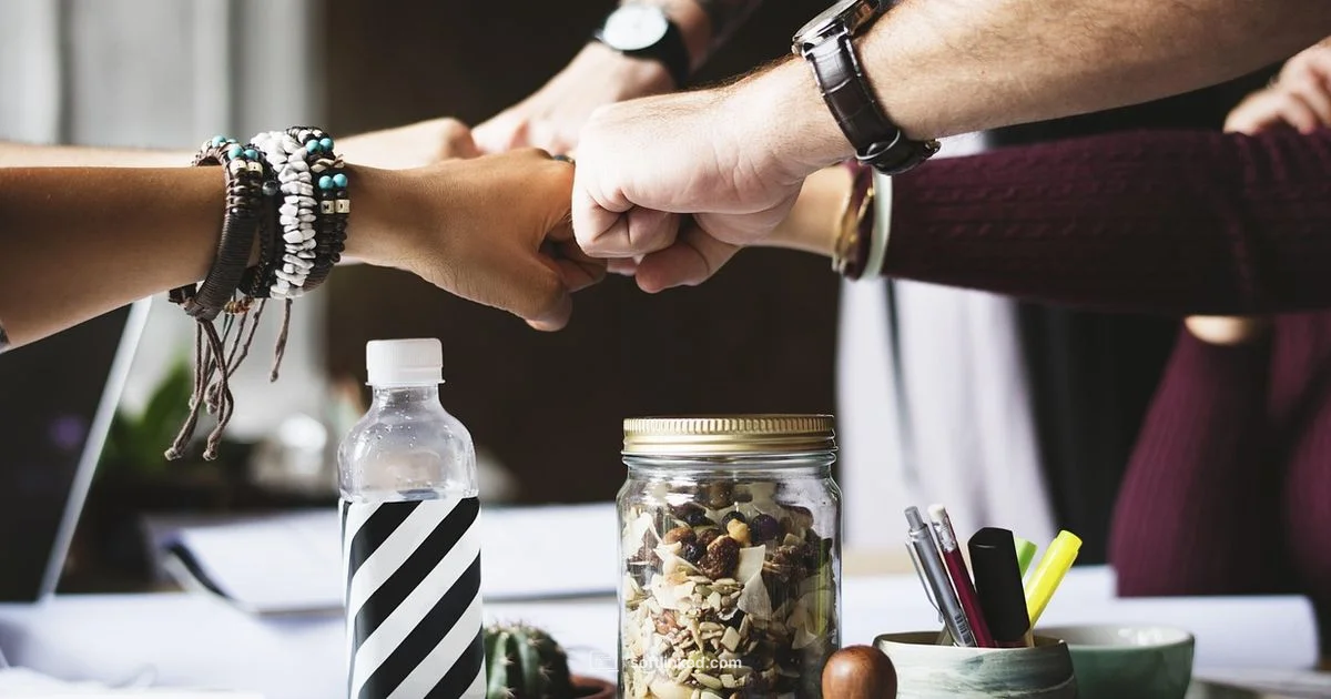 Lifecycle Insights - SoftLinked