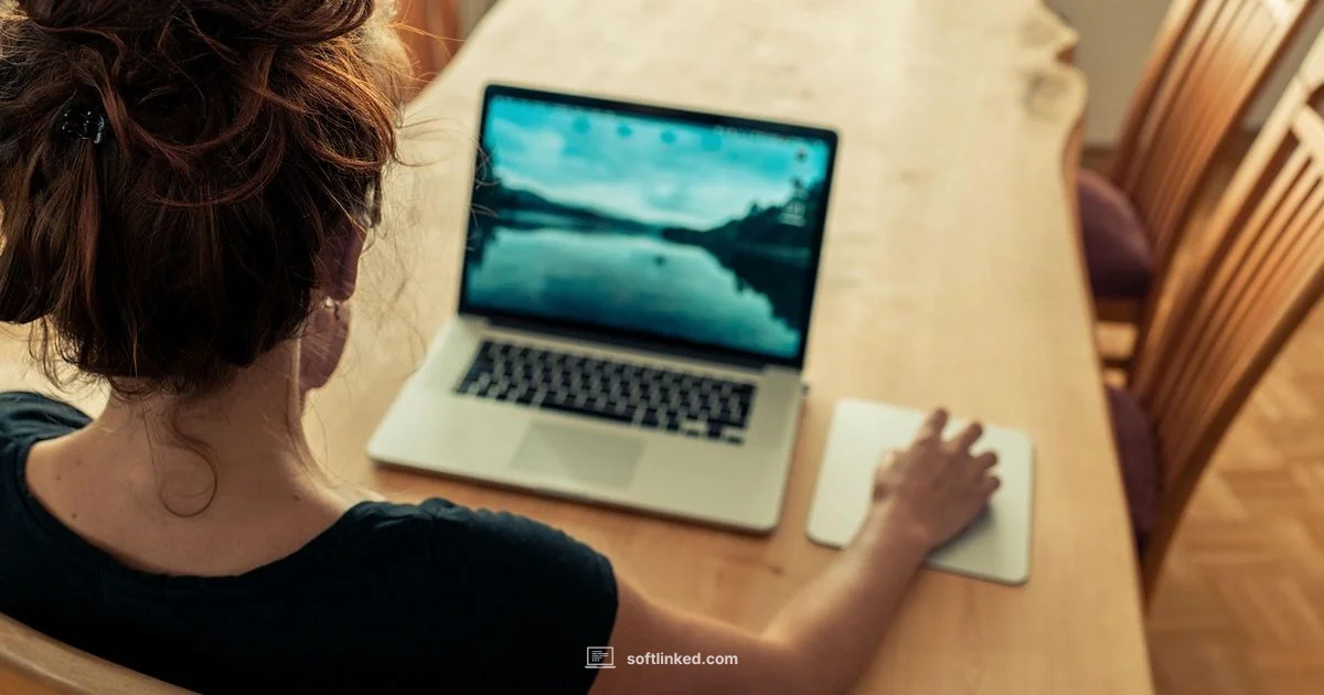 SAP Business One Guide - SoftLinked