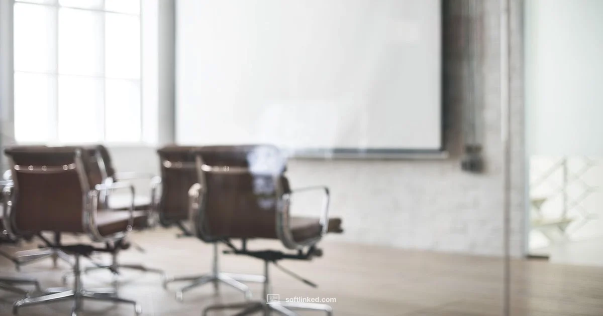 Software Presentation Guide - SoftLinked