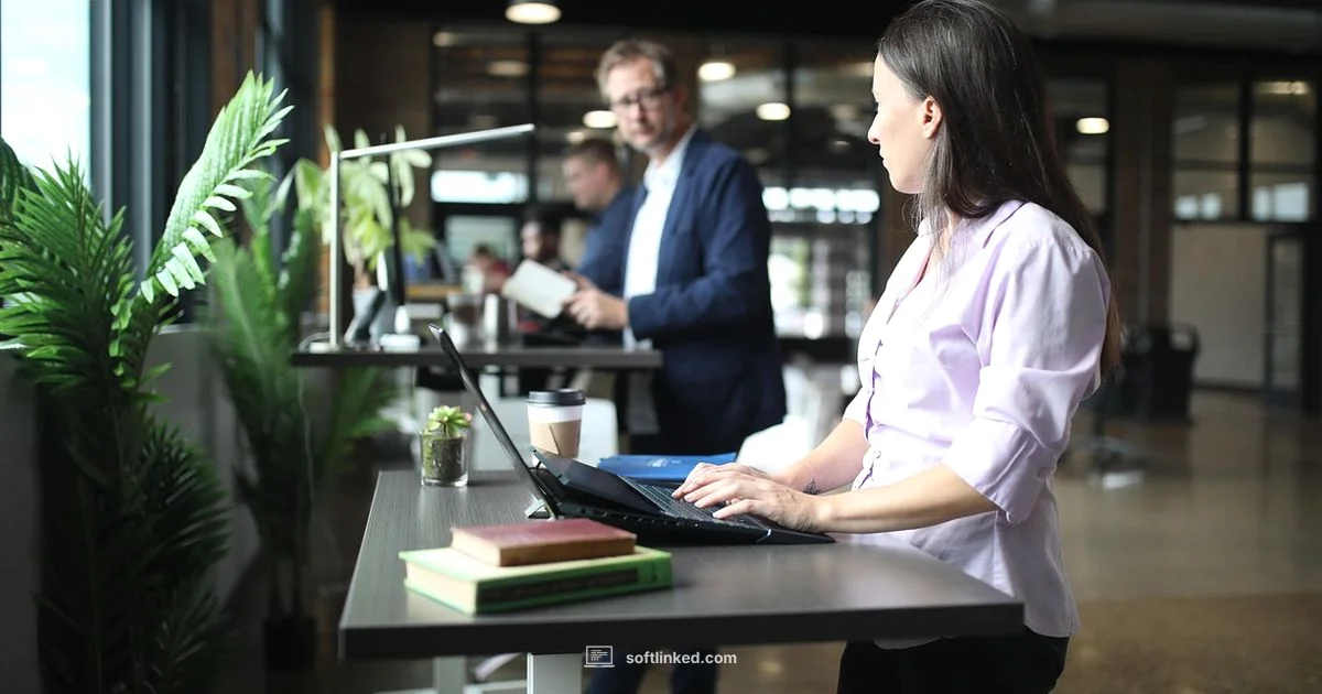 Programming Language Basics - SoftLinked